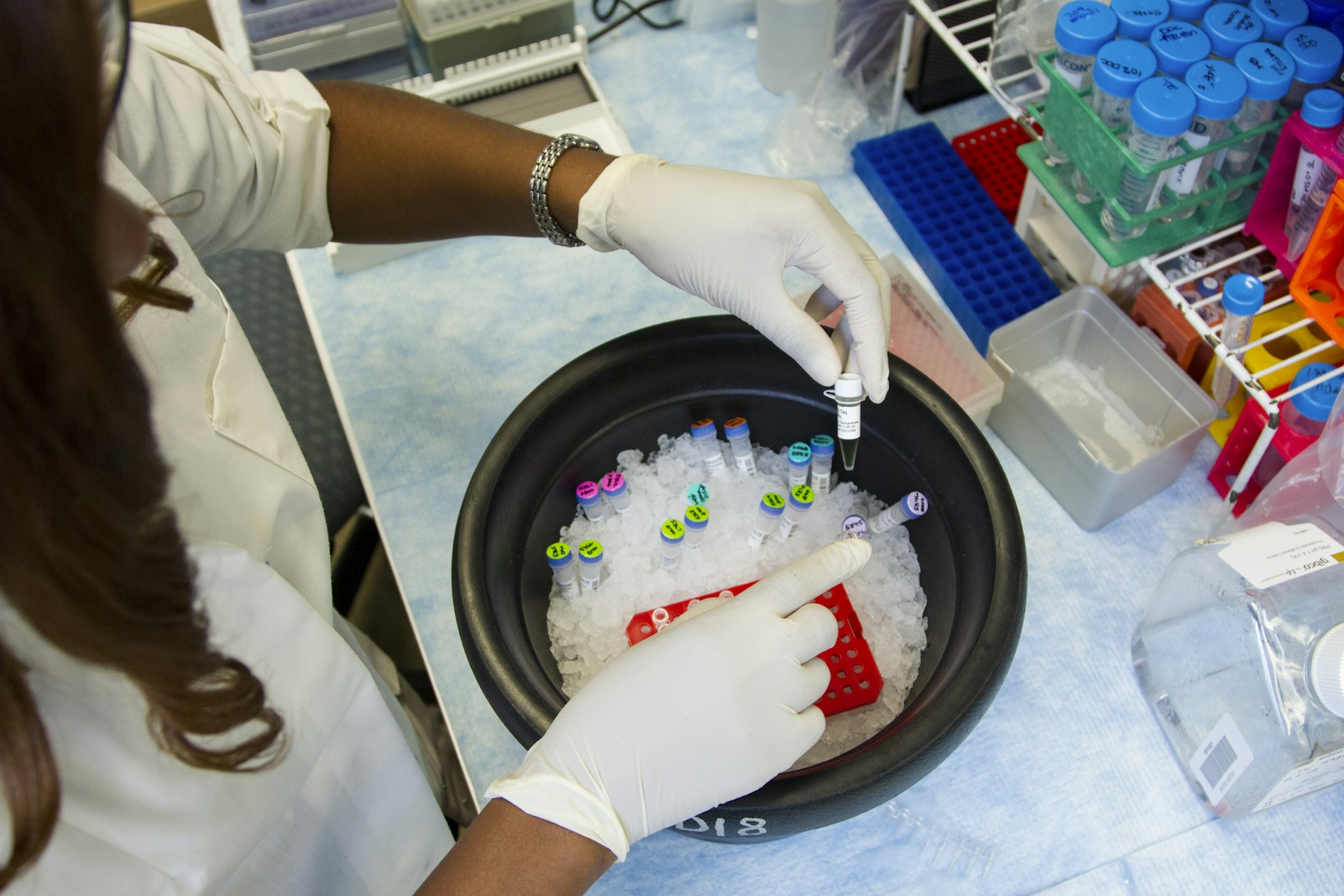 A researcher in gloves handling sample vials on ice at a laboratory bench