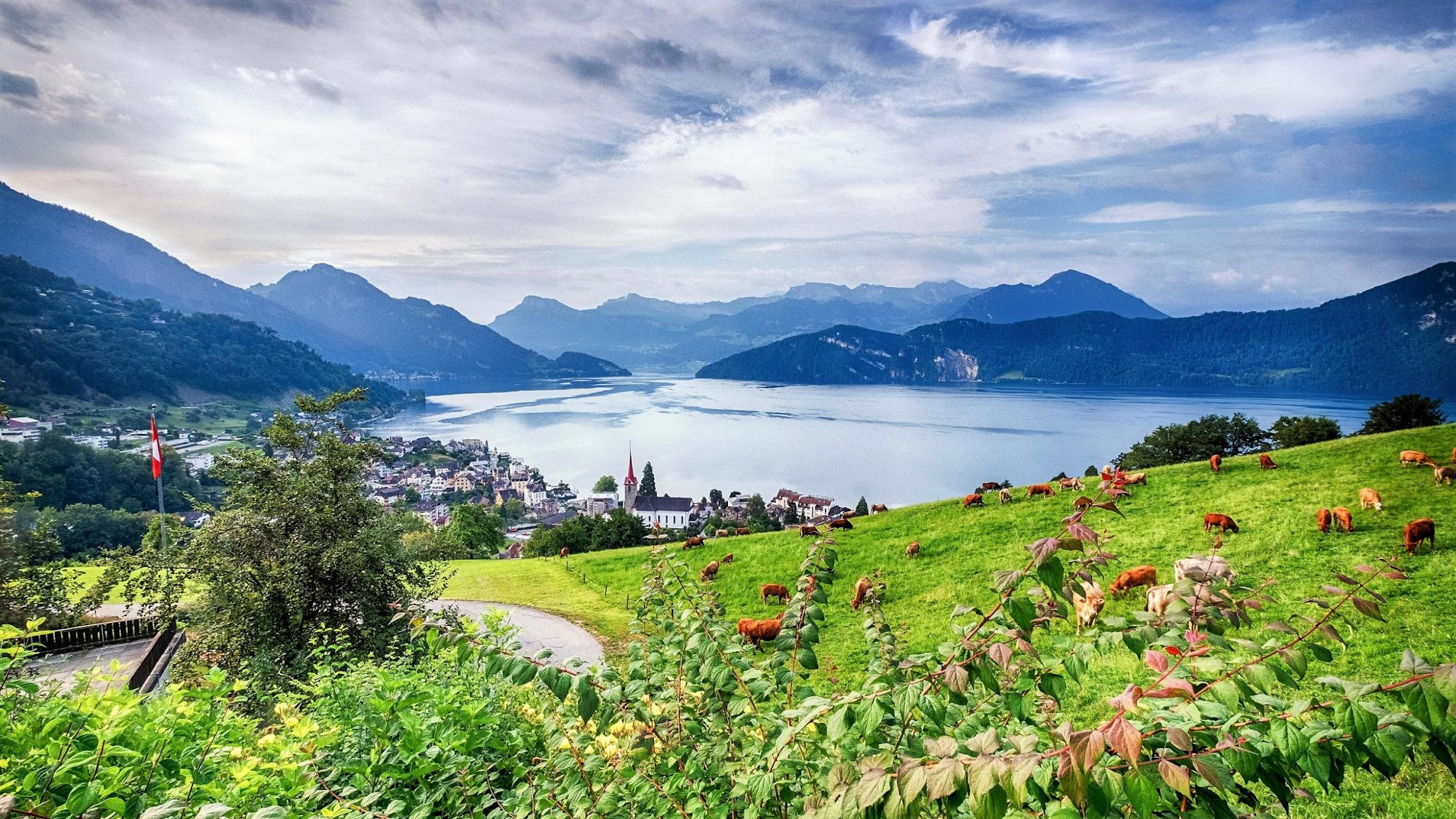 A Swiss village on the shore of an alpine lake, with pasture and mountains beyond